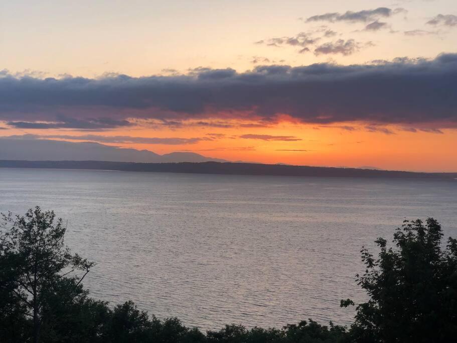 1-Bedroom Seaview Guesthouse On Seattle Luxury Estate With Views Of Olympic Mountains מראה חיצוני תמונה