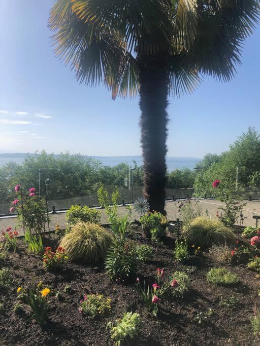 1-Bedroom Seaview Guesthouse On Seattle Luxury Estate With Views Of Olympic Mountains מראה חיצוני תמונה