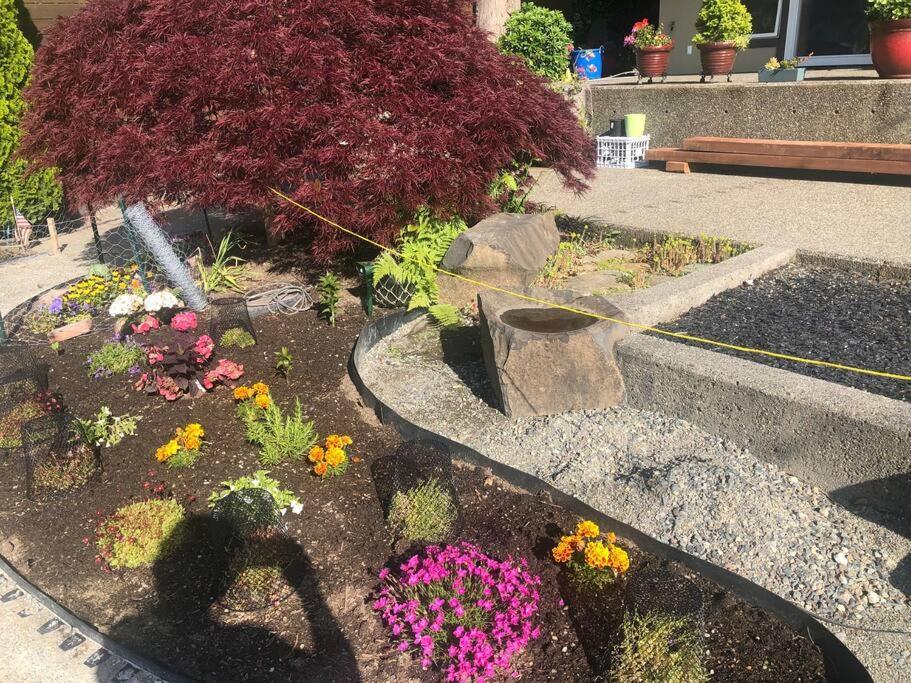 1-Bedroom Seaview Guesthouse On Seattle Luxury Estate With Views Of Olympic Mountains מראה חיצוני תמונה