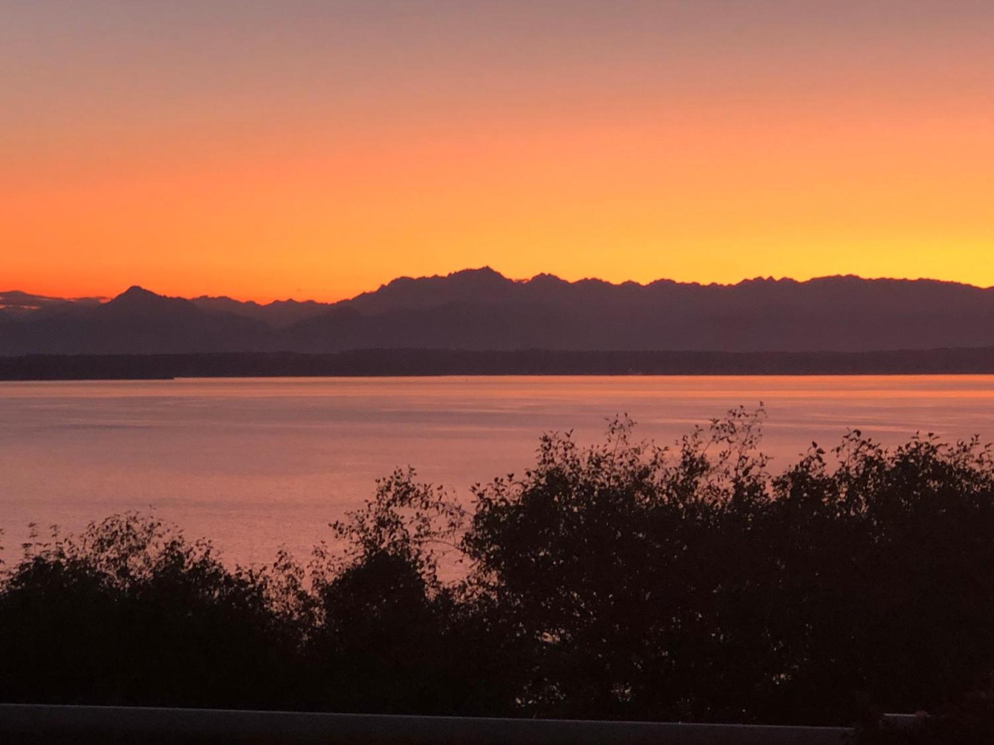 1-Bedroom Seaview Guesthouse On Seattle Luxury Estate With Views Of Olympic Mountains מראה חיצוני תמונה